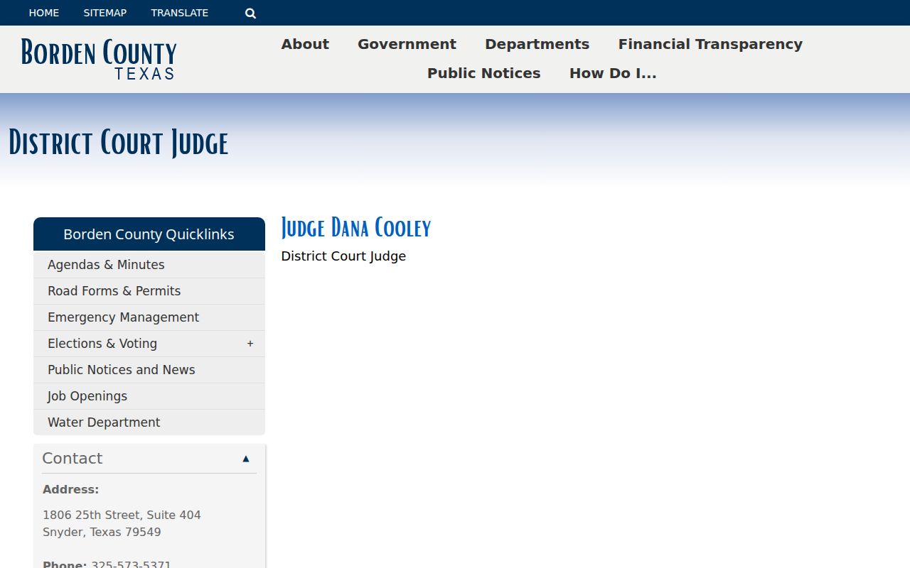 Borden County criminal docket 132nd District Court page
