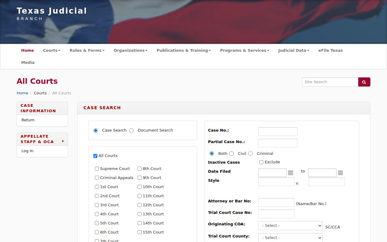 Borden County civil docket TAMES appellate case search